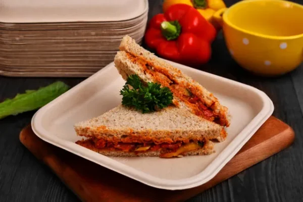 5"/7"/10″/12" MINI-MEAL PLATE
